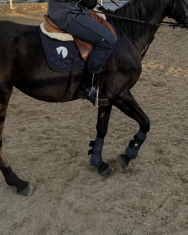 Balance Equestrian Set